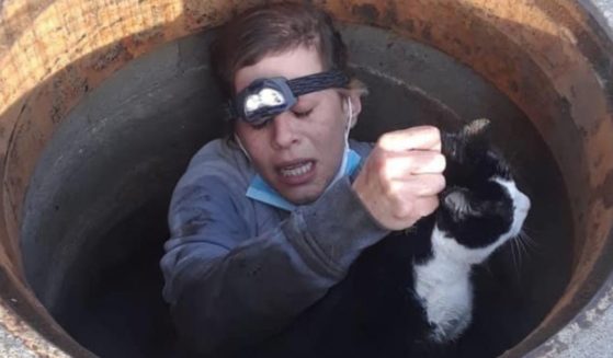 Haley Dube helped rescue Flaik the cat in Boise, Idaho, after the animal became trapped in a storm drain.