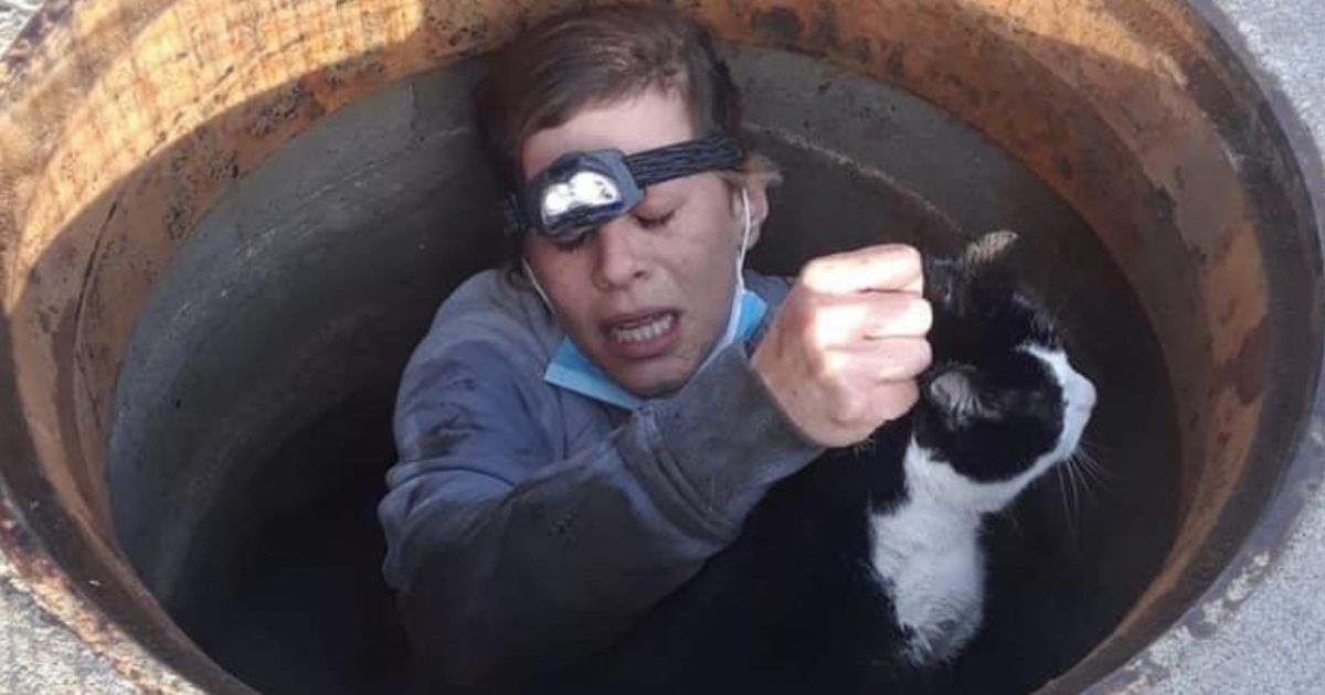Haley Dube helped rescue Flaik the cat in Boise, Idaho, after the animal became trapped in a storm drain.