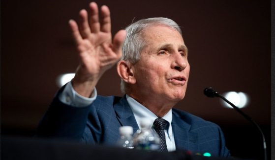 After many months of making multiple national TV appearances each week, Dr. Anthony Fauci has recently dropped out of sight.