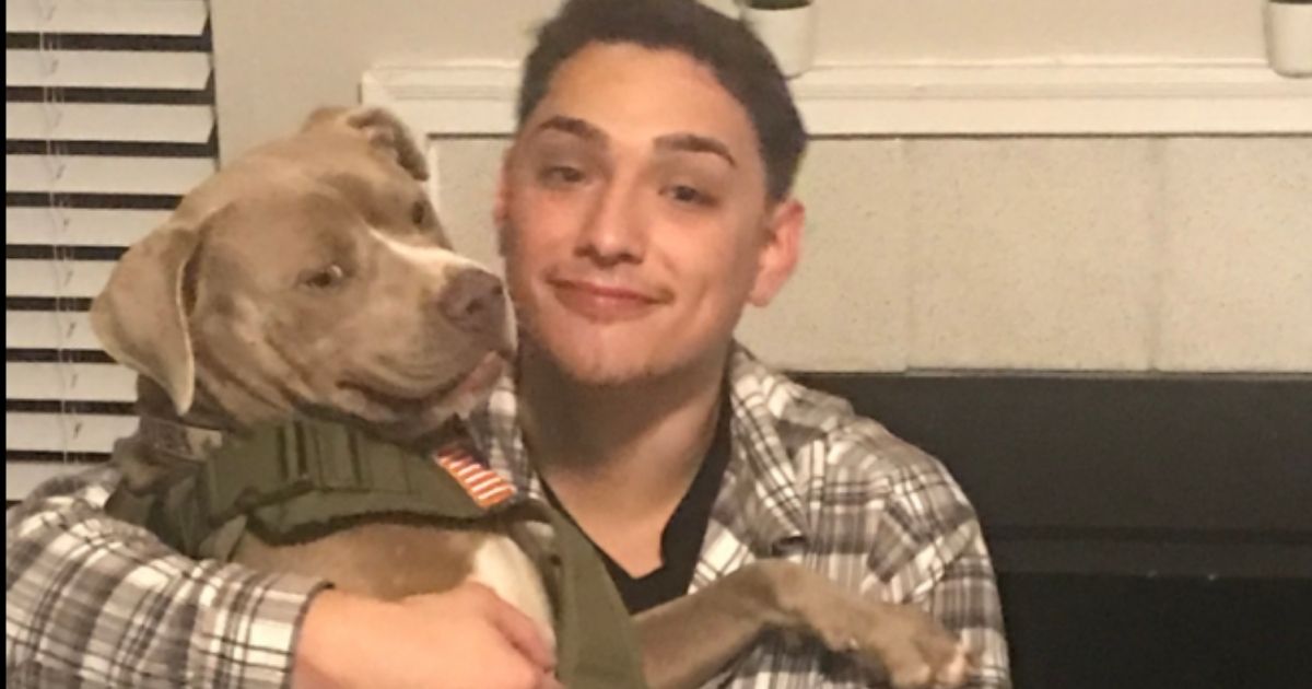 After an accident on Jan. 16, Fenny the pit bull went missing, but he was reunited with his owner George on Saturday.