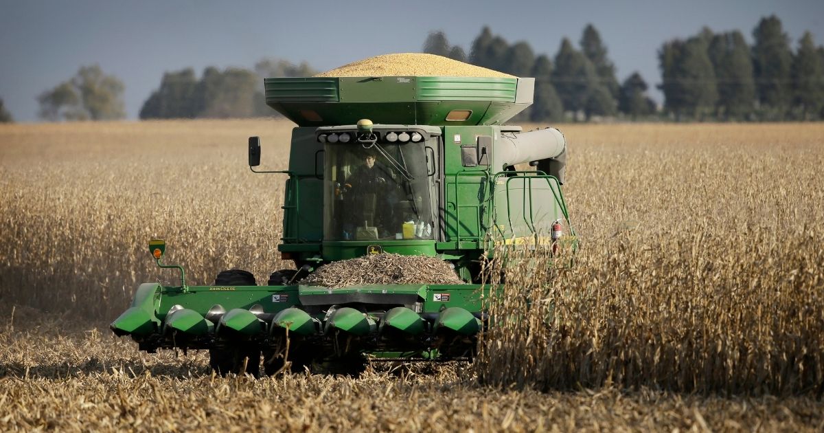 Farmer Judy Barrett combines corn on the farm in Dallas Center, Iowa on Nov. 10, 2014.