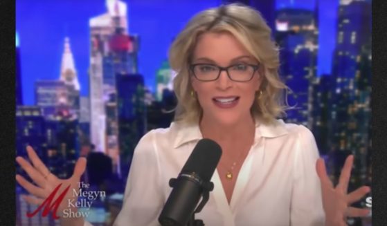 Megyn Kelly warned parents on her podcast this week against playing Disney videos for their children without a full understanding of what values they are promoting.