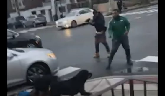 Dwayne Patrick takes aim at Rottweilers attacking a boy in Philadelphia.