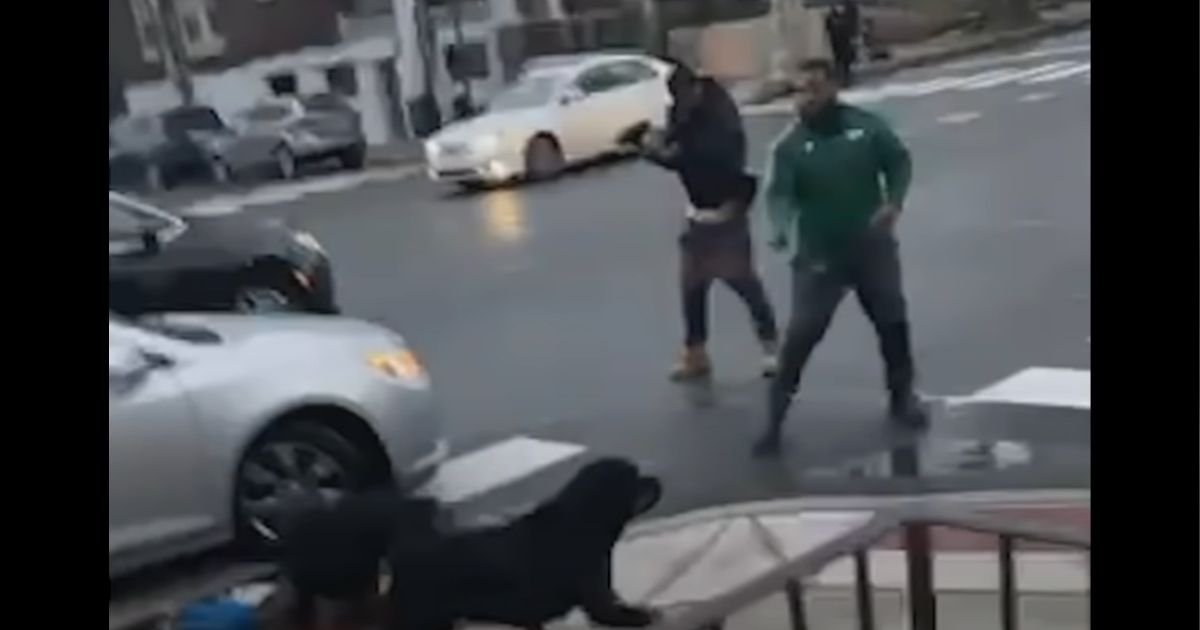 Dwayne Patrick takes aim at Rottweilers attacking a boy in Philadelphia.