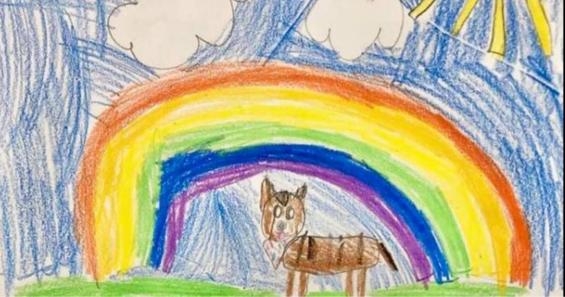 Second-grade students at St. Michael's Episcopal School drew pictures and did a creative writing assignment depicting pets waiting to be adopted at a local shelter in Richmond, Virginia.