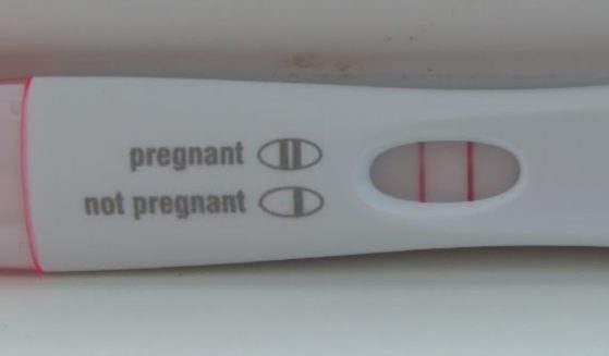 This at-home pregnancy test, similar to the one seen in Stephanie Hansen's Tik Tok video, shows a positive, pregnant test.
