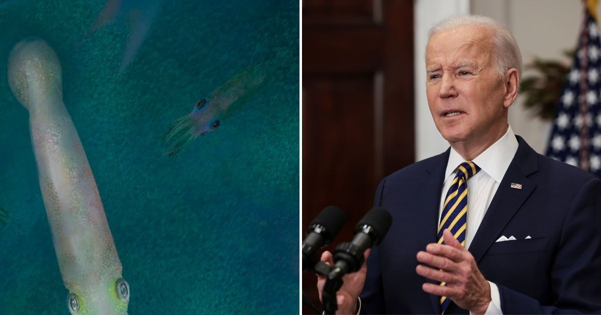 A Manhattan paleontologist discovered a rare prehistoric vampire squid with suckers on its tentacles and was inspired to name it after President Joe Biden.