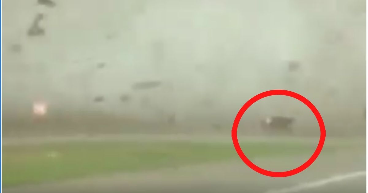 On March 21, 16-year-old Riley Leon was driving through Elgin, Texas, when a tornado picked up his truck and spun it around.