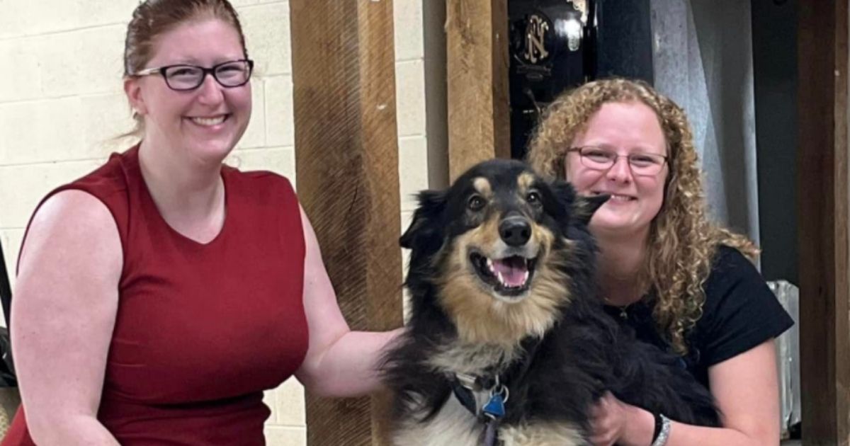 With help from a pet recovery team, Leo -- a 10-year-old collie/shepherd mix -- was reunited with his owner, Danielle, right.
