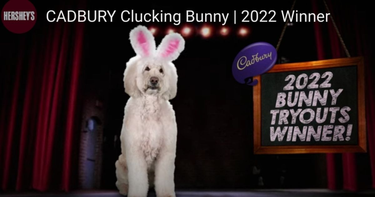 Annie Rose, a 3-year-old therapy dog based in Cincinnati, is the newest 'Cadbury Bunny.'