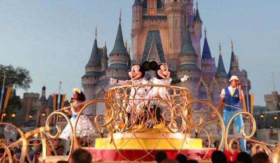 Florida is reviewing its special treatment of Walt Disney World in light of recent actions by the giant entertainment conglomerate to fight recent legislation.