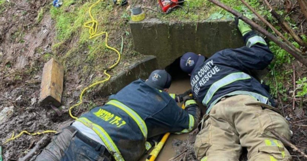 On Thursday, Dekalb Company 24 firefighters in Georgia worked to help a dog that was trapped in a storm drain and had become exhausted, eventually rescuing the canine.