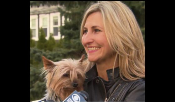 Marzena Niejadlik and her family were reunited with their Yorkshire terrier this week after it was stolen in Boston over a decade ago.