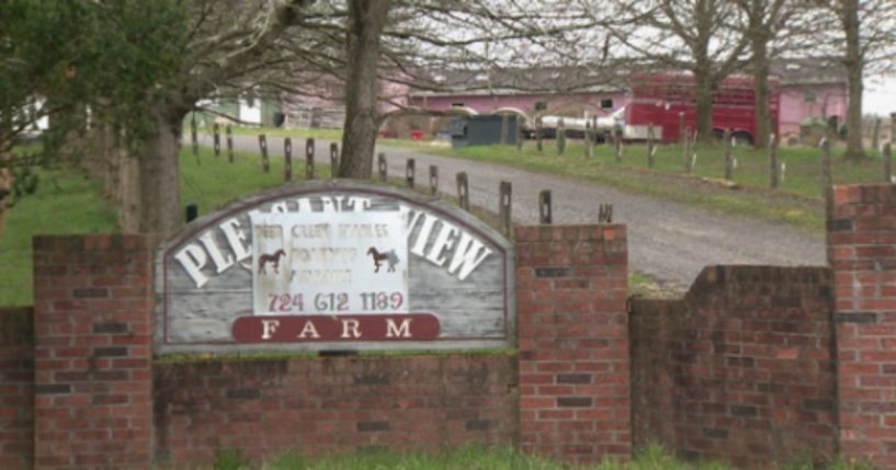 Pleasant View Farm in Gibsonia, Pennsylvania, became the source of an investigation when reports of animal abuse and cruelty surfaced. In total, 47 animals, mostly horses, were removed from the property.