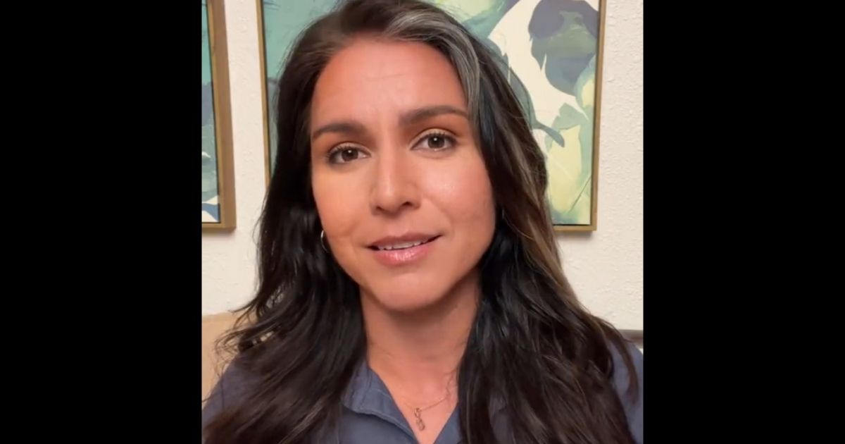 Former Democratic presidential candidate Tulsi Gabbard talks about the Florida law.