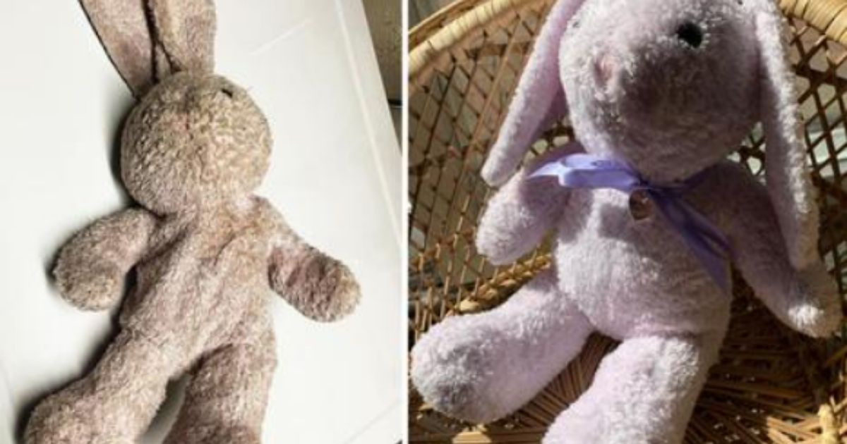 The lost stuffed animal -- before it was cleaned up, and after.