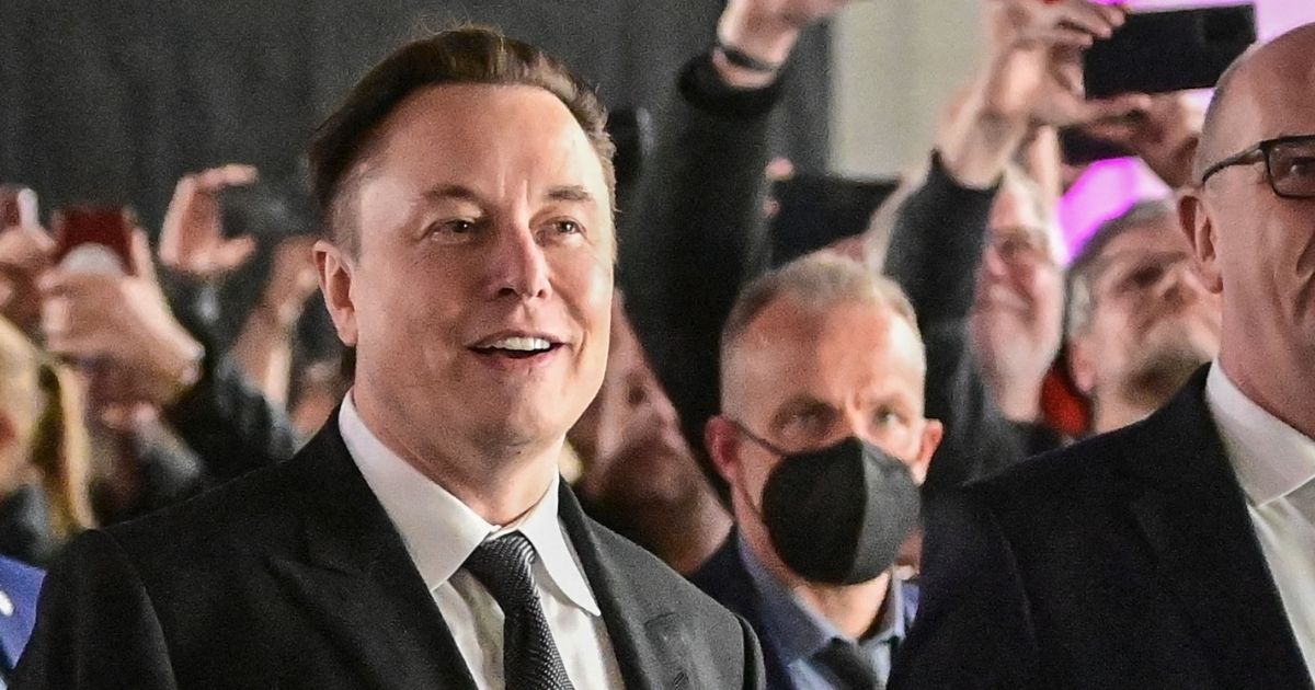 Billionaire Elon Musk, pictured in a March file photo.