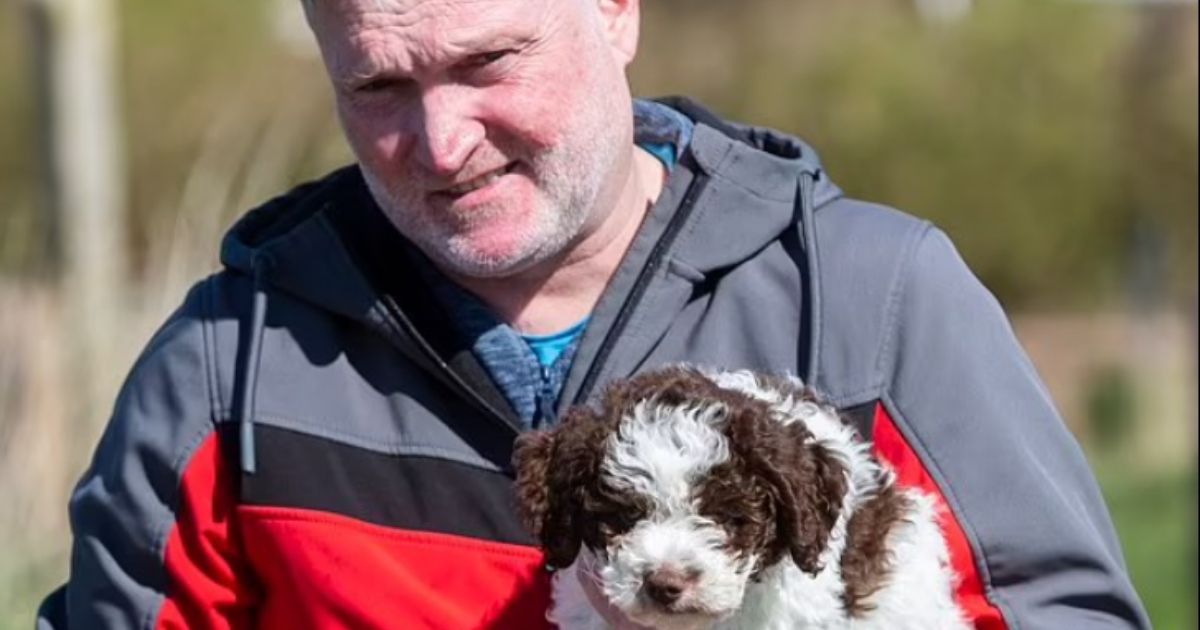 Ollie, a Lagotto Romagnolo puppy, struck gold for his owner on a recent walk in Blackpool, England.