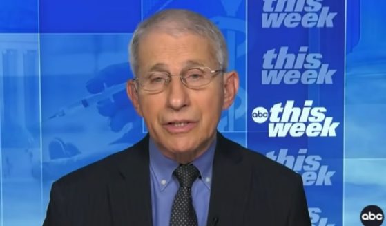 Dr. Anthony Fauci, director of the National Institute of Allergy and Infectious Disease, is interviewed on ABC's "This Week" on Sunday.