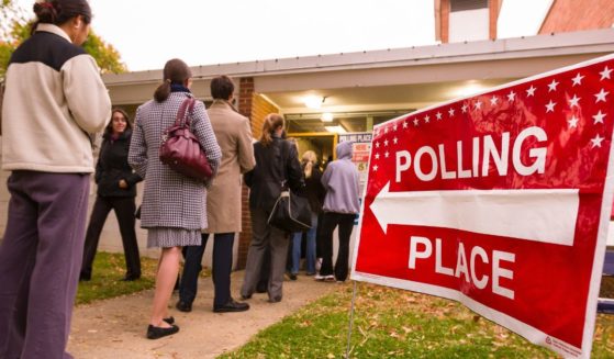 People line up to vote in Arlington, Virginia, in 2008.