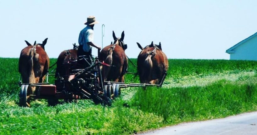 The federal government is once again coming after Amos Miller, an Amish farmer who runs an organic farm in Pennsylvania, where he sells meat, eggs and dairy products to more than 4,000 members of his private food club.