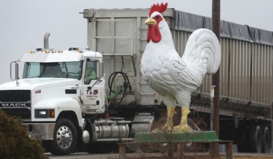 A truck drives out the entrance of the Cold Springs Eggs Farm near Palmyra, Wisconsin., where the presence of avian influenza was reported to be discovered, forcing the commercial egg producer to destroy nearly 3 million chickens on March 24. Avian Influenza has been reported on poultry farms in more than 30 states, causing many flocks to be euthanized to contain the disease.