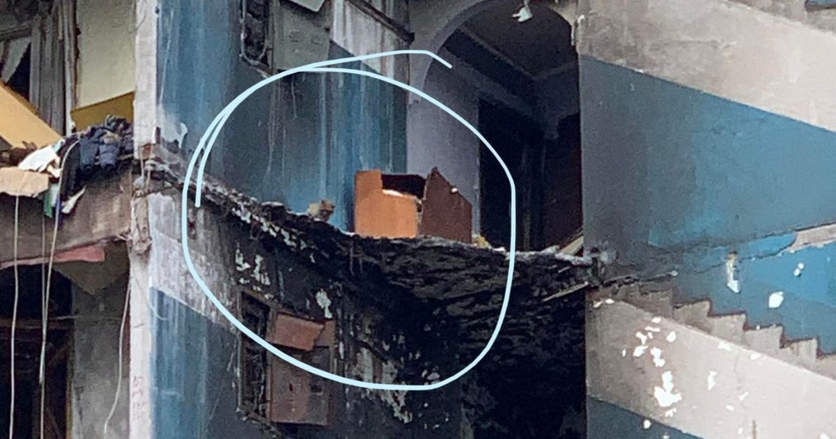 The cat is seen in the bombed-out building in Ukraine before its rescue.