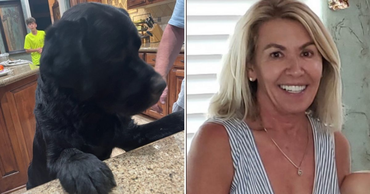 Max, a black Lab, is being hailed as a hero for staying with Sherry Noppe for three days until searchers located them. Noppe has dementia and got lost while walking with the dog in a 2,700-acre park near her home.