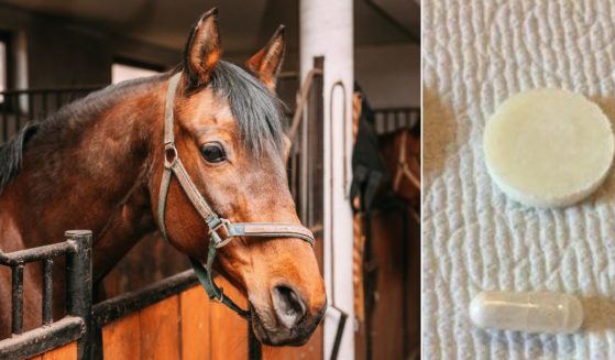 A bay horse in a stall, left, and a DIY abortion pill featuring misoprostol, right.