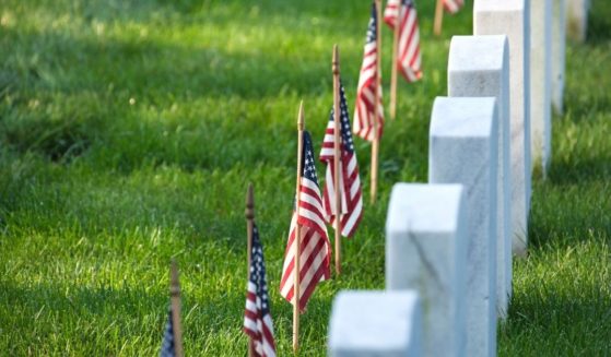American flags are seen planted at graves in this stock image.