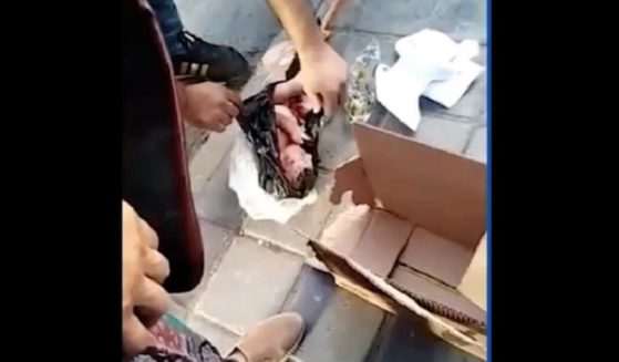 A newborn baby boy is found in a dumpster in Tehran in a video that circulated last week.