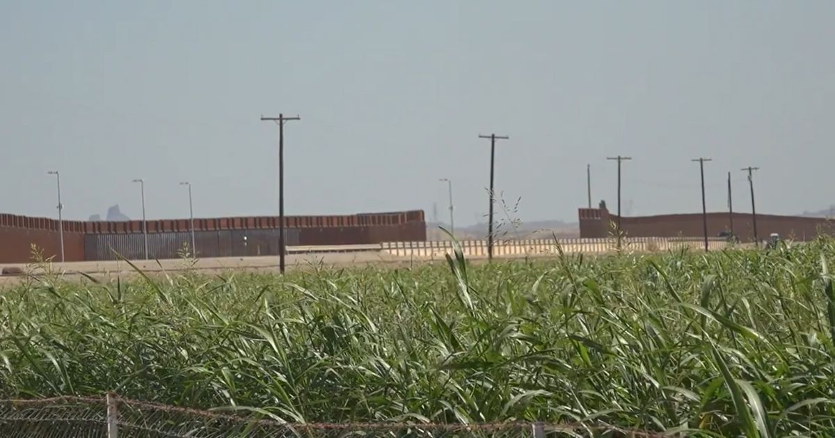 The U.S.-Mexico border is seen beyond the backyard of Dennis Cook near Yuma, Arizona.
