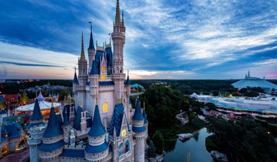 Walt Disney World is seen on Oct. 8, 2014.