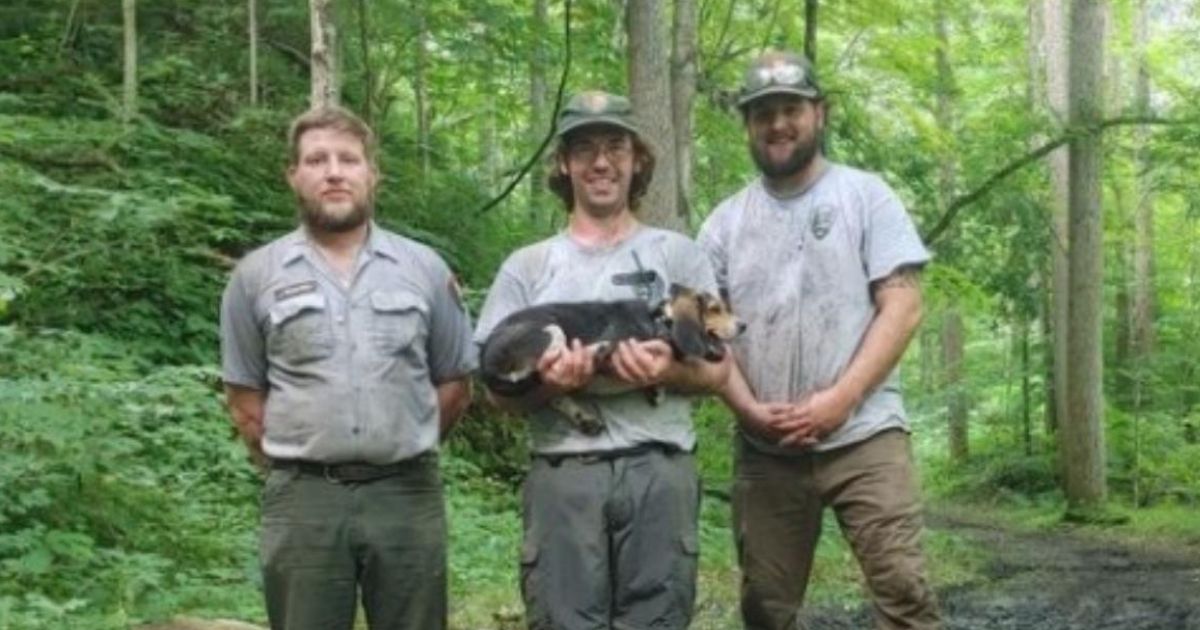 Trail crew members stand holding a dog in a wooded area, after saving it.