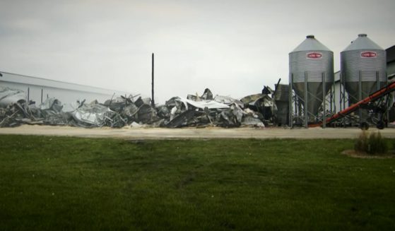 Tens of thousands of chickens died in a fire at an egg production facility in Wright County, Minnesota, on Saturday.