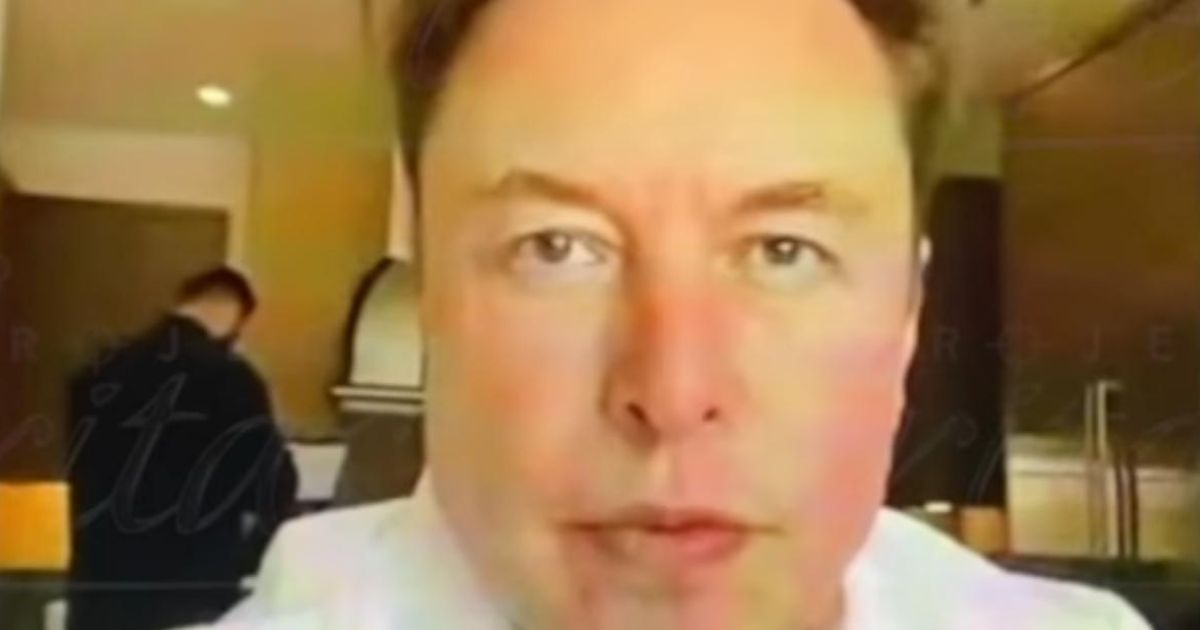 Elon Musk addresses Twitter employees for the first time Thursday on an online call.