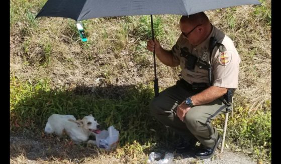 Trooper Pumpy Tudors of the Tennessee State Highway Patrol takes care of the distressed dog.