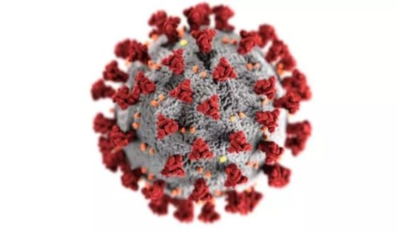 Depiction of the SARS-CoV-2 Coronavirus illustrated by the Center of Diseases Control and Prevention.
