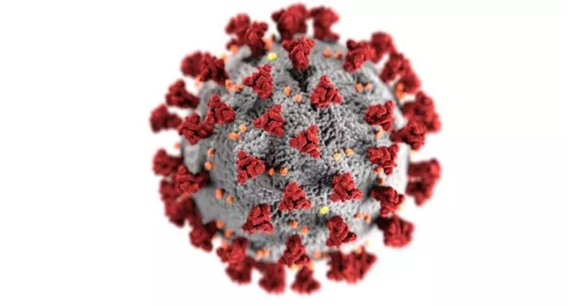 Depiction of the SARS-CoV-2 Coronavirus illustrated by the Center of Diseases Control and Prevention.