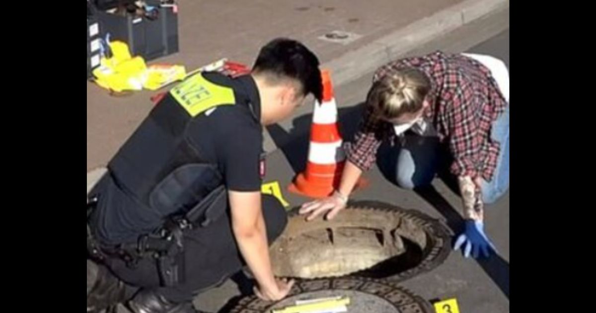 Joe, an 8-year-old child, was found in a sewer on Saturday.