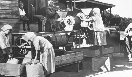 Wives of field workers operate a separator on a collective farm in the North Caucasus on Nov. 12, 1930.