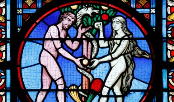 A stained glass portrayal of Adam and Eve is seen in the above stock image.