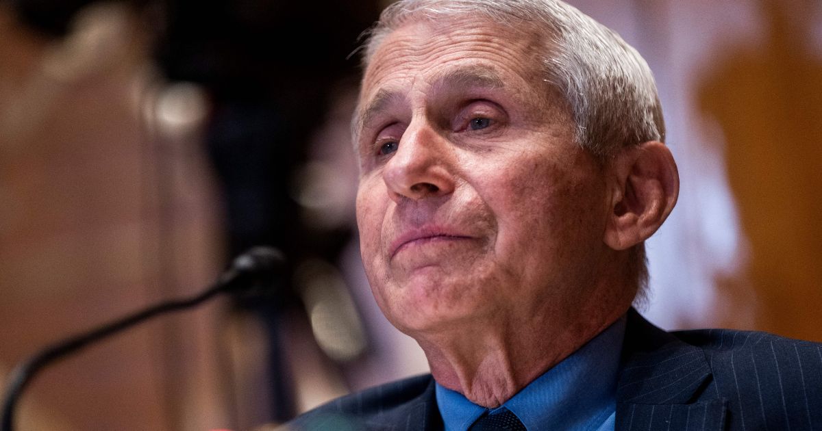 Dr. Anthony Fauci testifies during a Senate subcommittee hearing on Capitol Hill in Washington, D.C., on May 17.