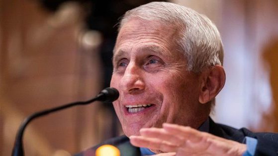 Dr. Anthony Fauci, director of the National Institute of Allergy and Infectious Diseases, testifies during a Senate Appropriations subcommittee hearing on Capitol Hill in Washington, D.C., on May 17.