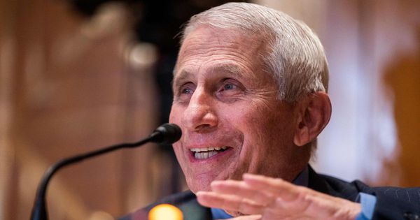 Dr. Anthony Fauci, director of the National Institute of Allergy and Infectious Diseases, testifies during a Senate Appropriations subcommittee hearing on Capitol Hill in Washington, D.C., on May 17.