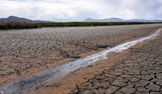 A small stream runs through the dried, cracked earth of a former wetland near Tulelake, Calif., The state is experiencing the most severe drought conditions in its history, but some say the problem was made far worse by government policies.
