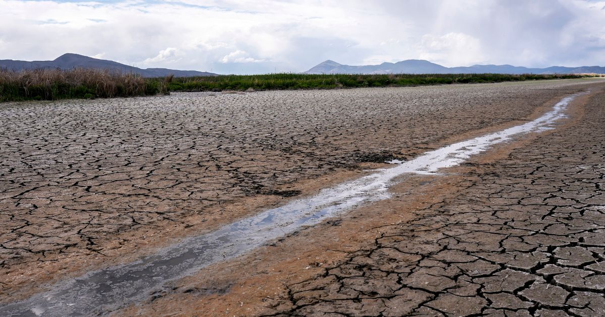 A small stream runs through the dried, cracked earth of a former wetland near Tulelake, Calif., The state is experiencing the most severe drought conditions in its history, but some say the problem was made far worse by government policies.