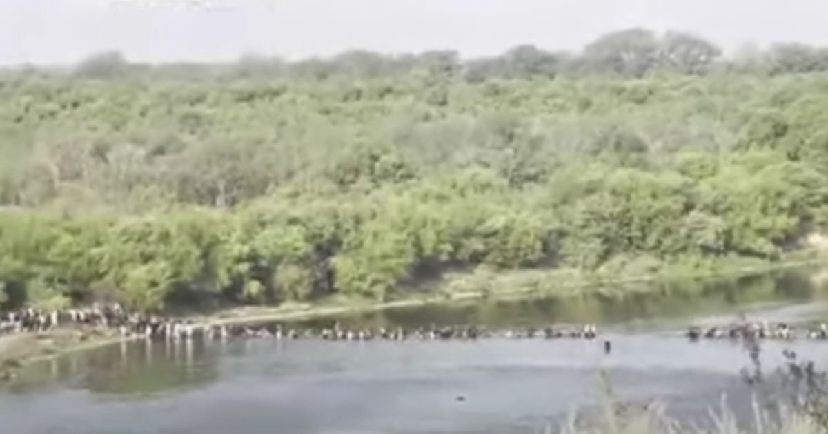 A large group of illegal migrants cross a river into Texas.