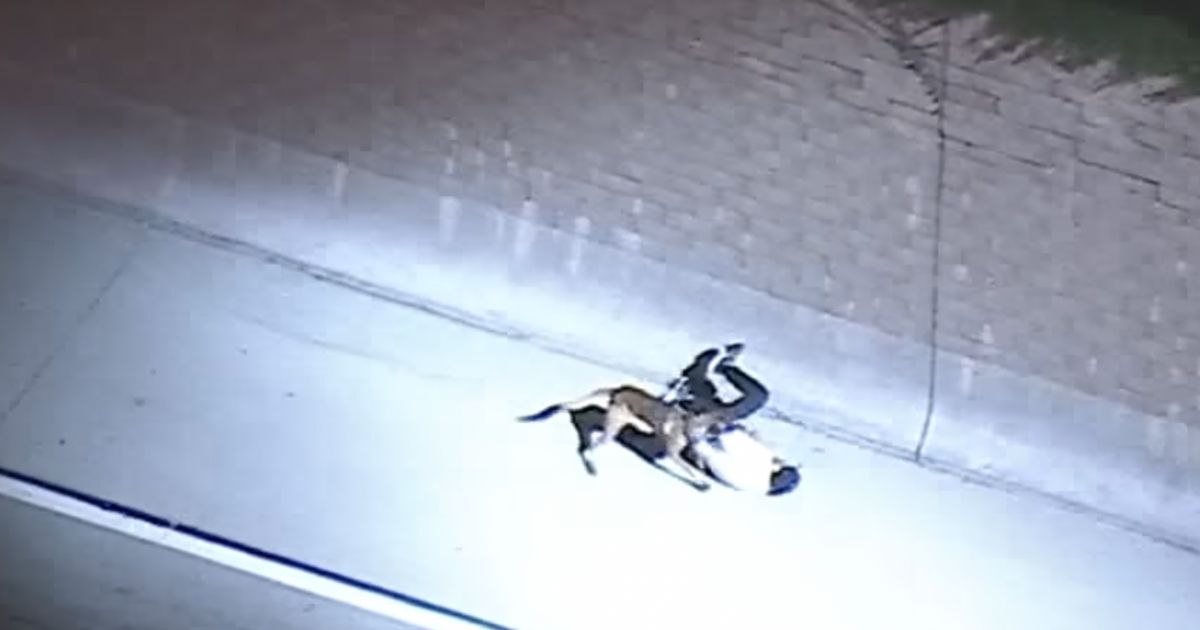 On Tuesday, a police car chase in southern California ended after a Bearcat crashed into the stolen work truck driven by the suspect, causing him to flee and get taken down by a K-9.