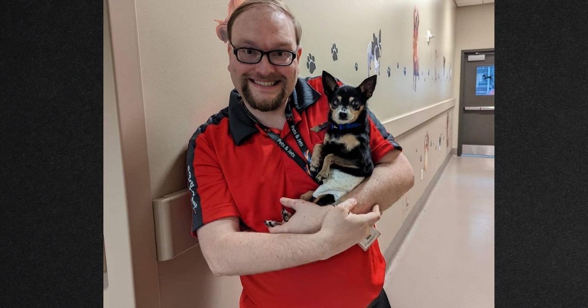 A Southwest Airlines flight attendant volunteered his time and flight benefits to transport the elderly Chihuahua to his new family in Maryland.